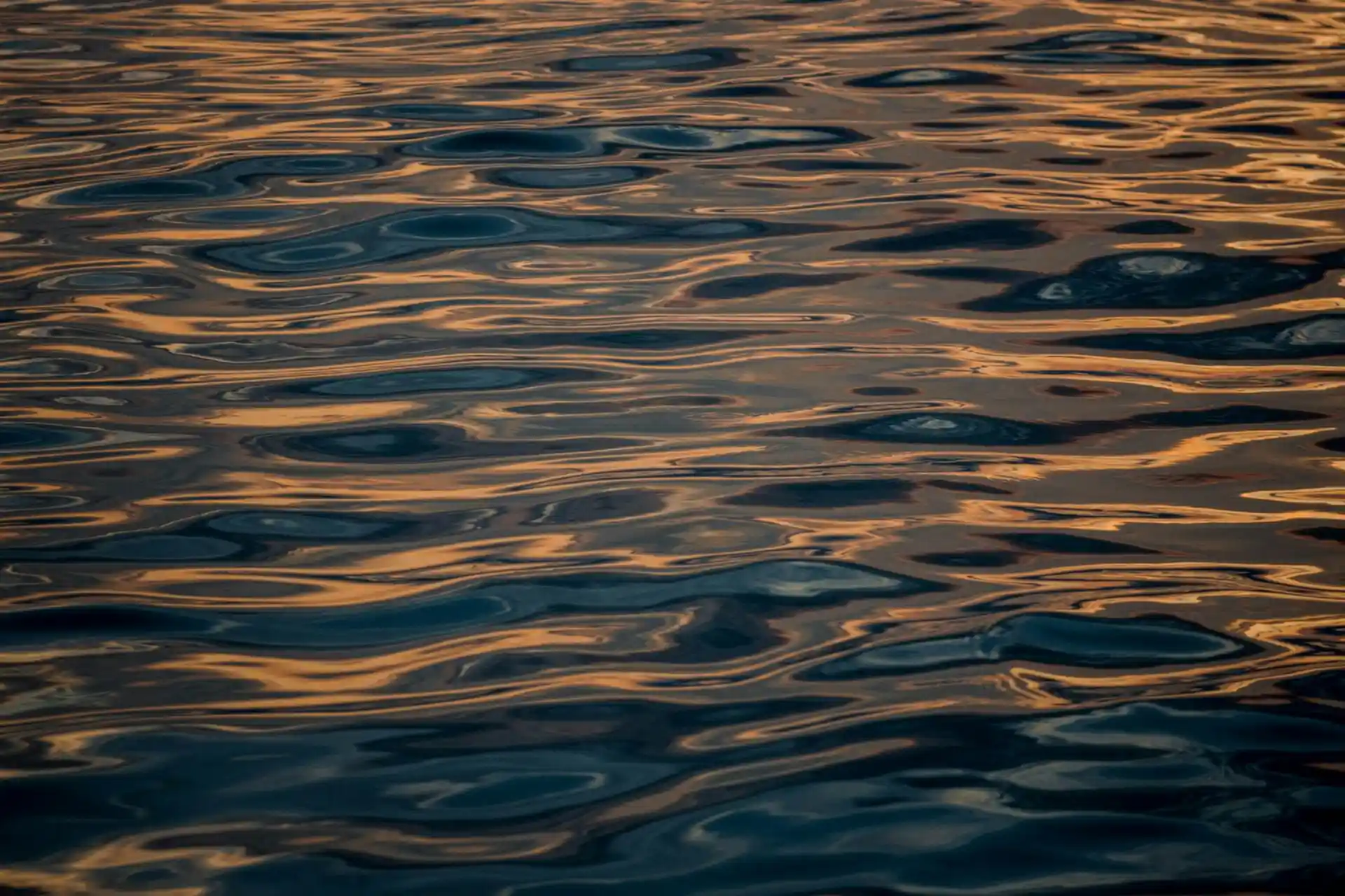 Agua oscura en calma con reflejos dorados
