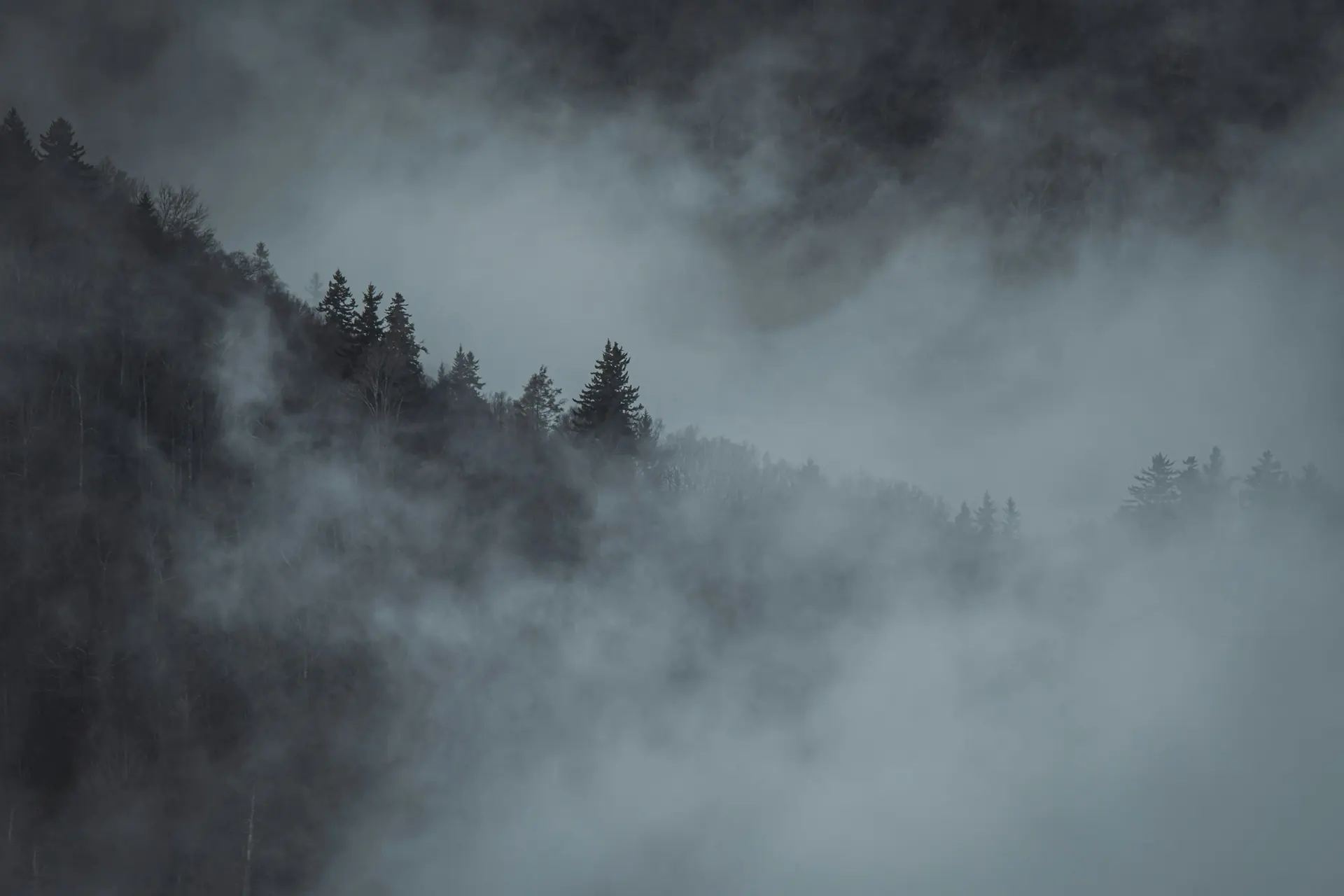 Montaña cubierta de niebla con árboles al fondo
